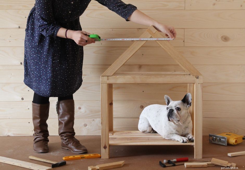 14 planos de casinhas de cachorro DIY grátis que qualquer um pode construir