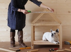 14 bezplatných plánů stáje pro psy, které si může postavit každý