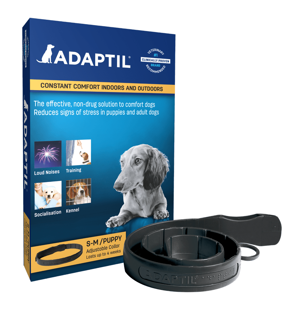 Adaptilhalsband för hundar