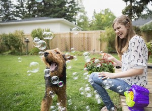 Nomes de animais de estimação exóticos que começam com G