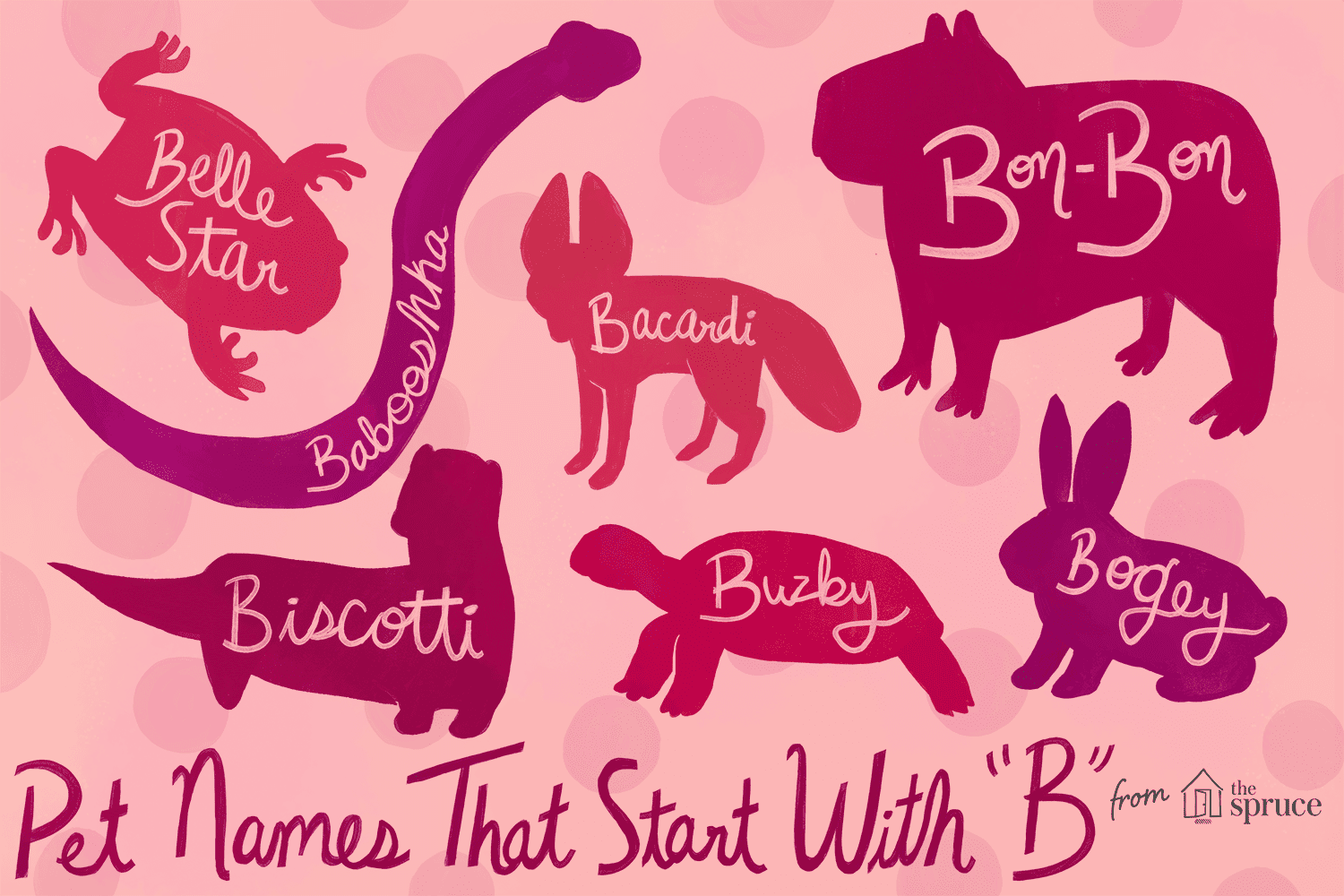 Exotische huisdierennamen die beginnen met B