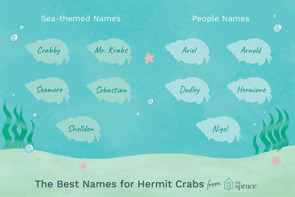 100 noms pour les crabes domestiques