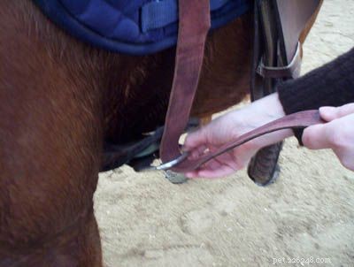 Hur man knyter en cinch på din västerländska sadel