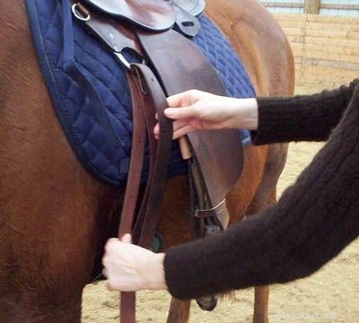 Hur man knyter en cinch på din västerländska sadel