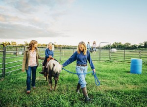 Construire un enclos rond pour chevaux avec un petit budget