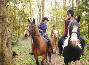 Équipement pour une équitation en toute sécurité