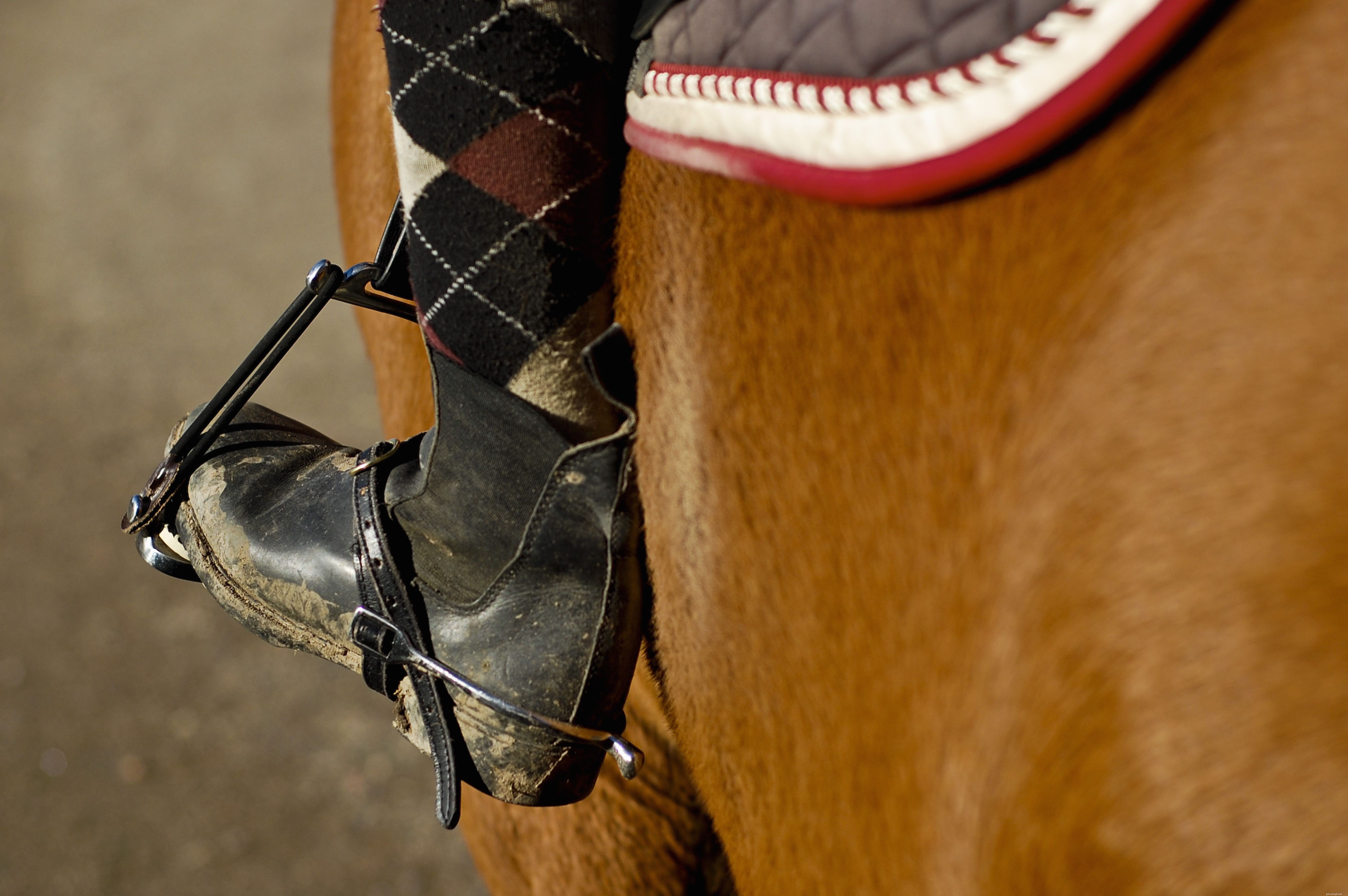 8 самых распространенных причин, по которым лошадь может поранить вас