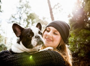 Como cuidar das necessidades básicas de seus cães