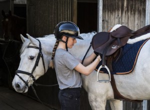 Saiba mais sobre circunferências em selas