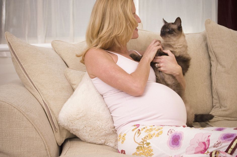 猫と新生児を安全に紹介する方法 