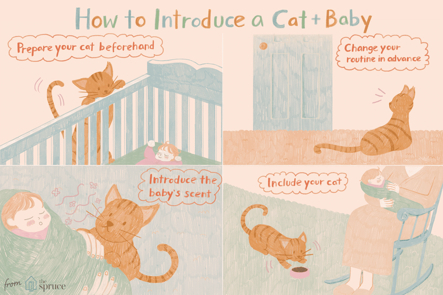 Jak bezpečně představit kočky a novorozence