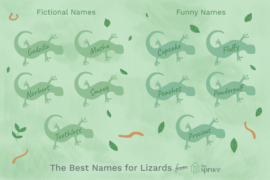 Имена домашних ящериц