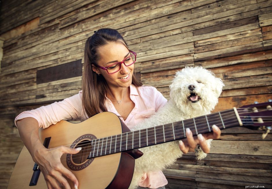 あなたの子犬のための音楽療法 