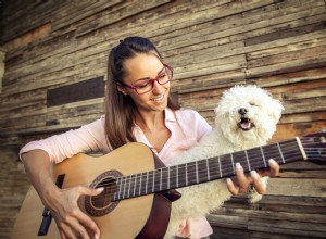 강아지를 위한 음악 치료
