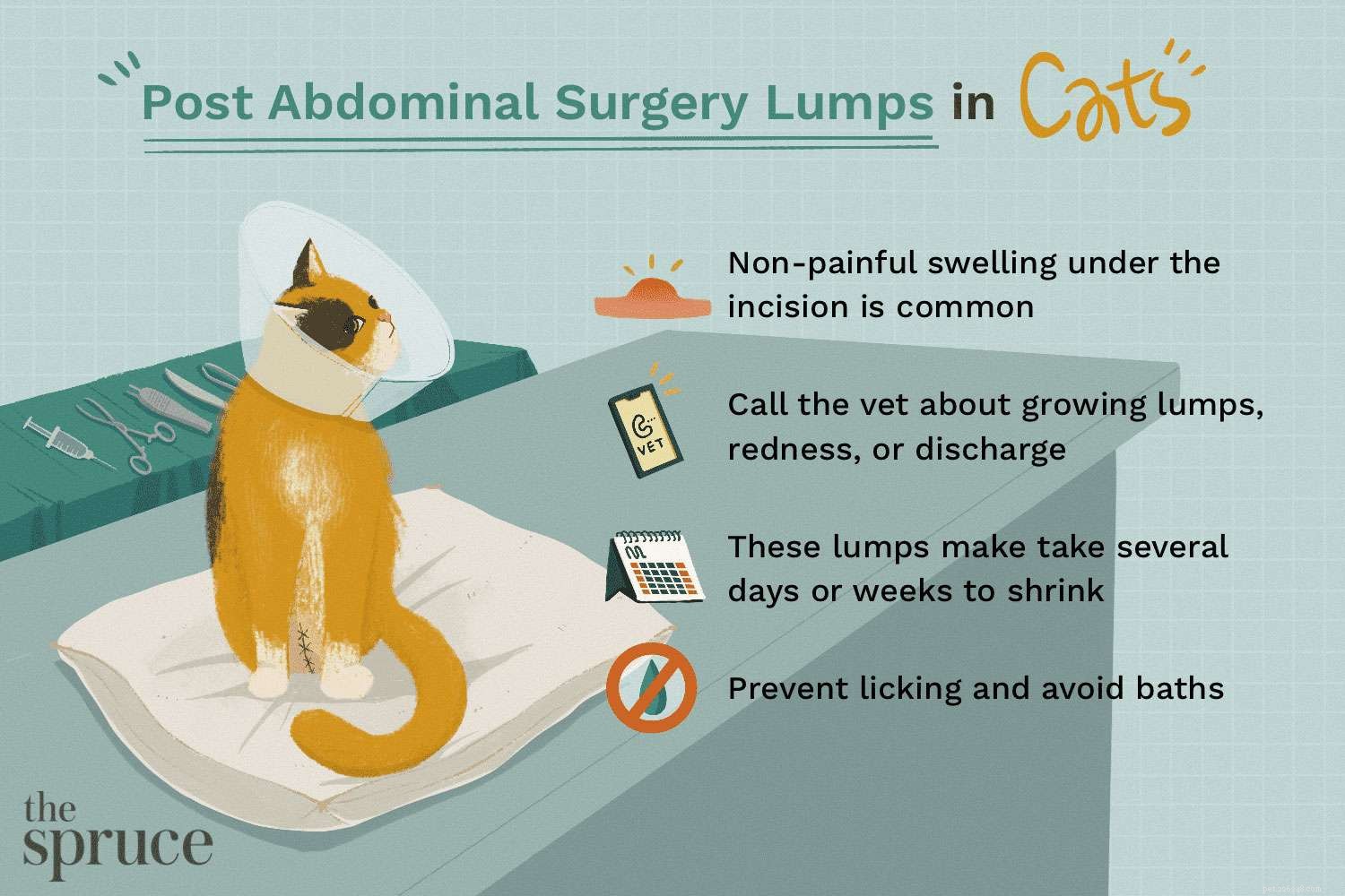 고양이 중성화 수술 후 복부 덩어리는 정상입니까?