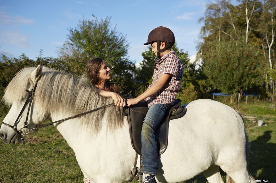 直接レイニングを使用して方向転換するように馬を訓練する方法 