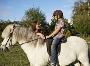 Comment entraîner votre cheval à tourner en utilisant le reining direct