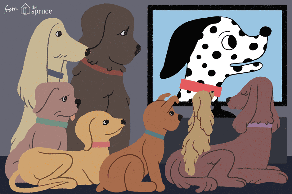 Principais filmes animados de cachorros