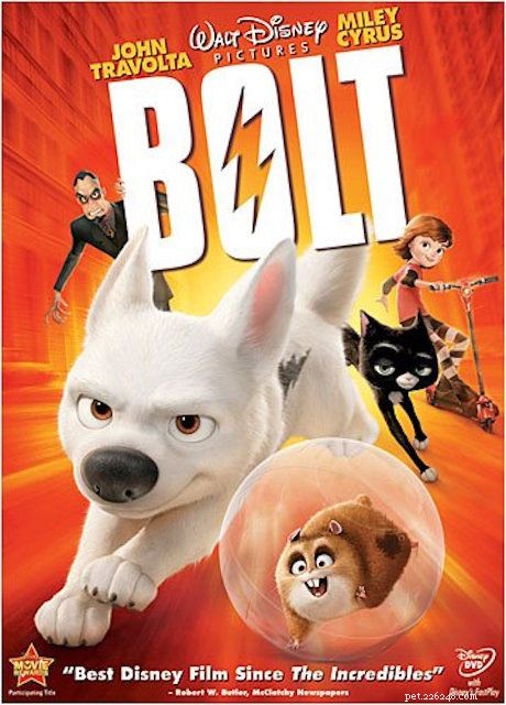 I migliori film animati sui cani