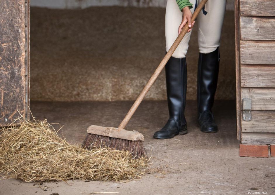 Comment nettoyer une stalle pour chevaux