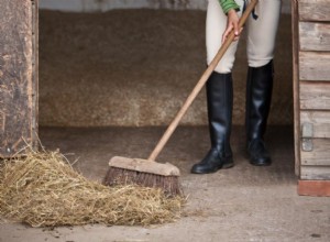 馬の屋台を掃除する方法 