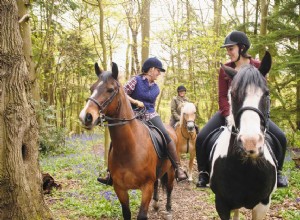 Une introduction à l endurance