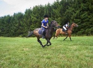 Tipy pro bezpečnou jízdu na koni