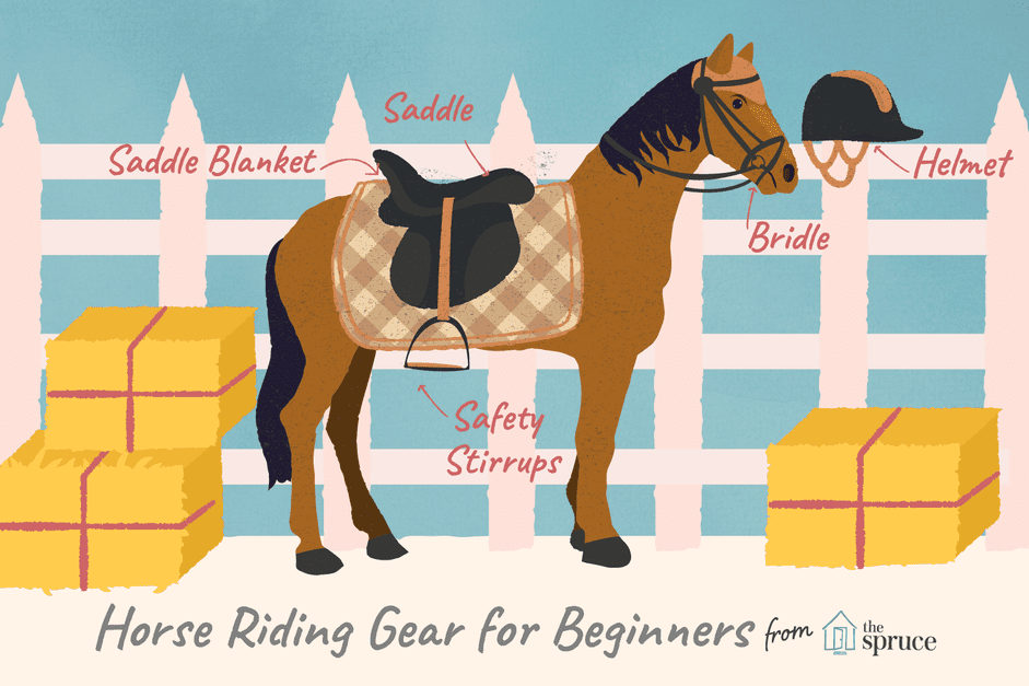 Basisuitrusting die je nodig hebt voor je eerste paard