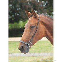 Scegliere la fascia nasale giusta per la briglia del tuo cavallo