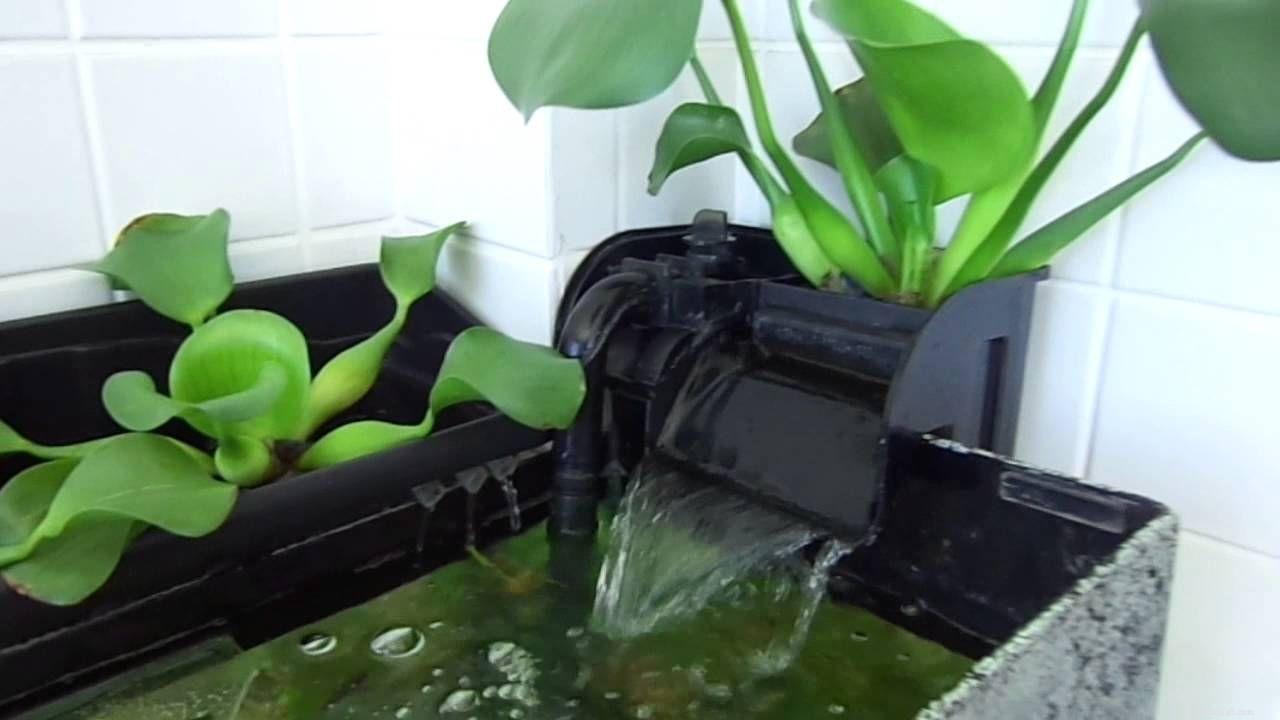 Vše, co byste měli vědět o mechanické filtraci pro vaše akvárium