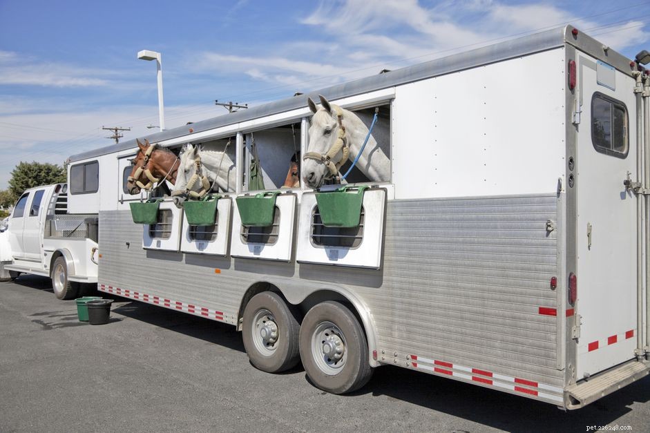 Tipos e conceitos básicos de trailer de cavalo