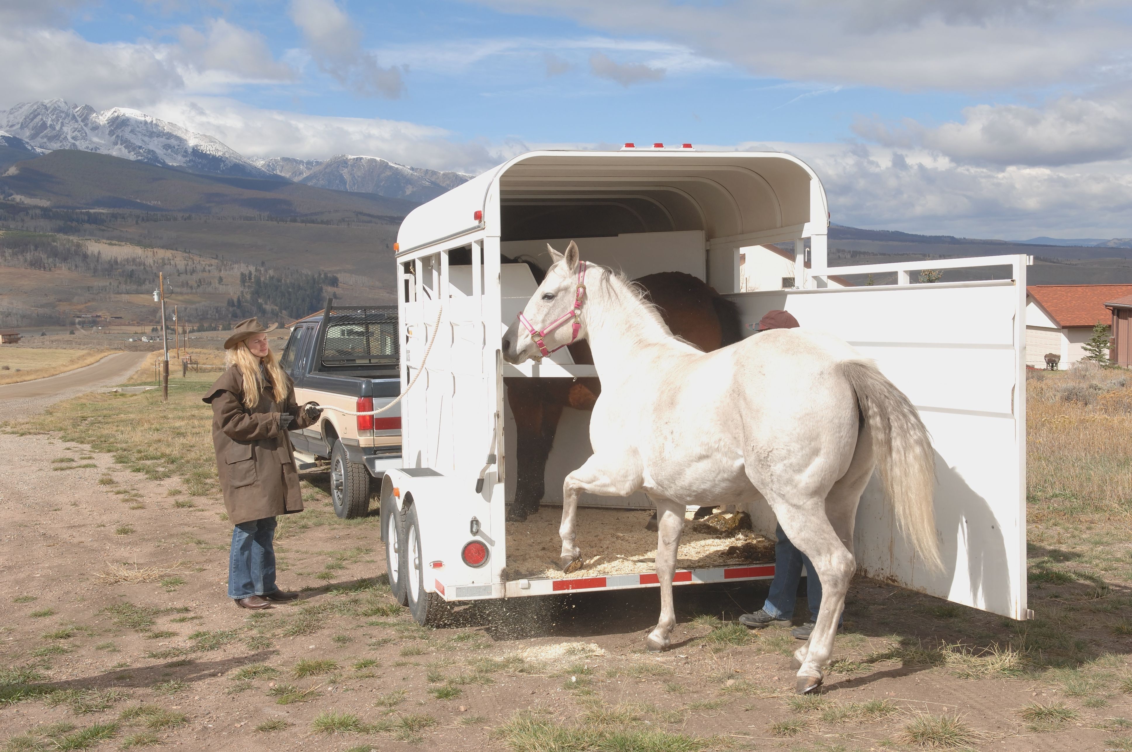 Tipos e conceitos básicos de trailer de cavalo