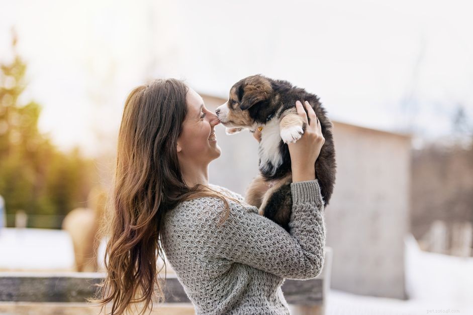 9 motivi per acquistare un cane da un allevatore