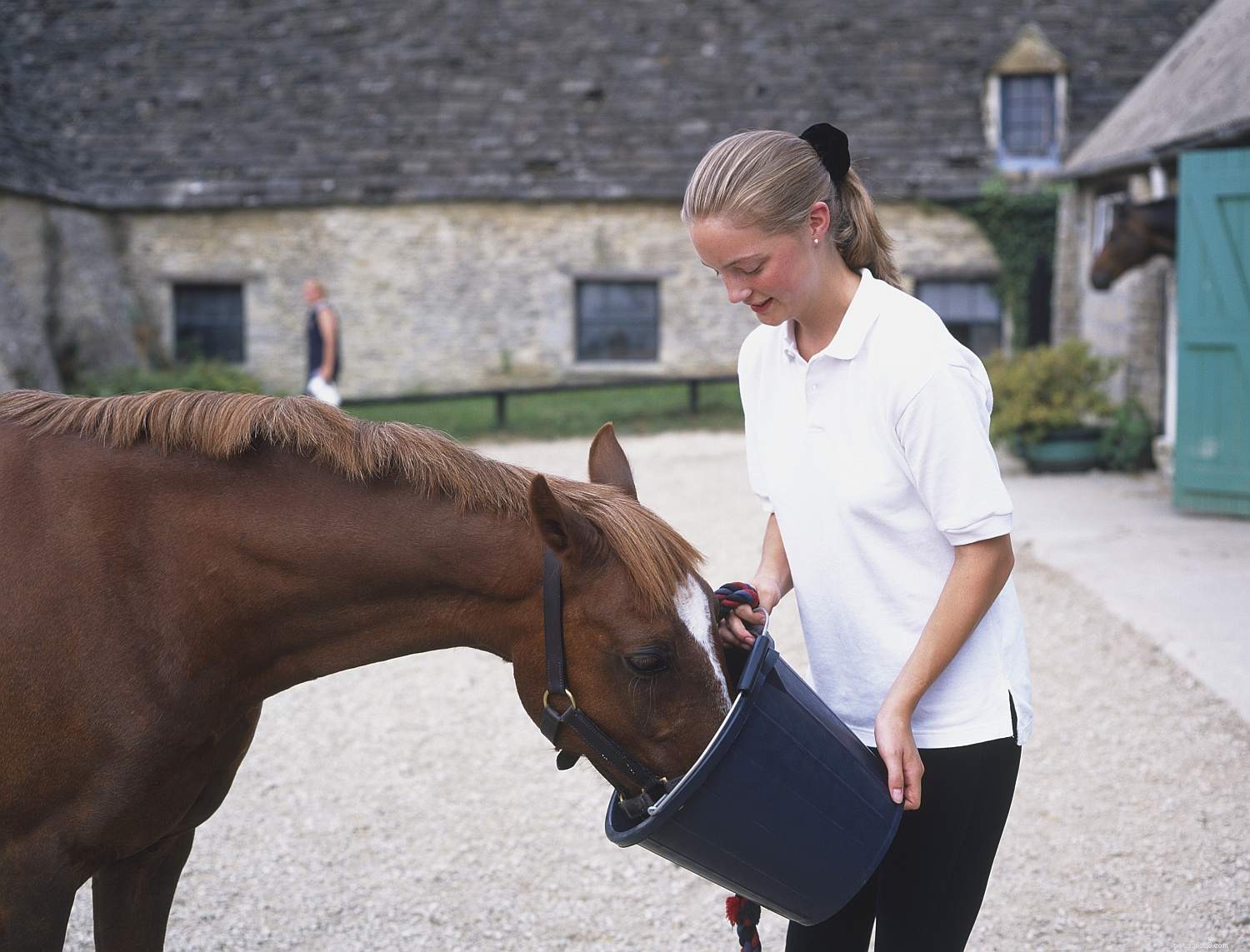 12 sätt som din häst säger till dig att den behöver kontrollera sina tänder