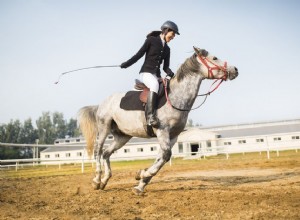 Použití biče nebo obilí při jízdě na koni