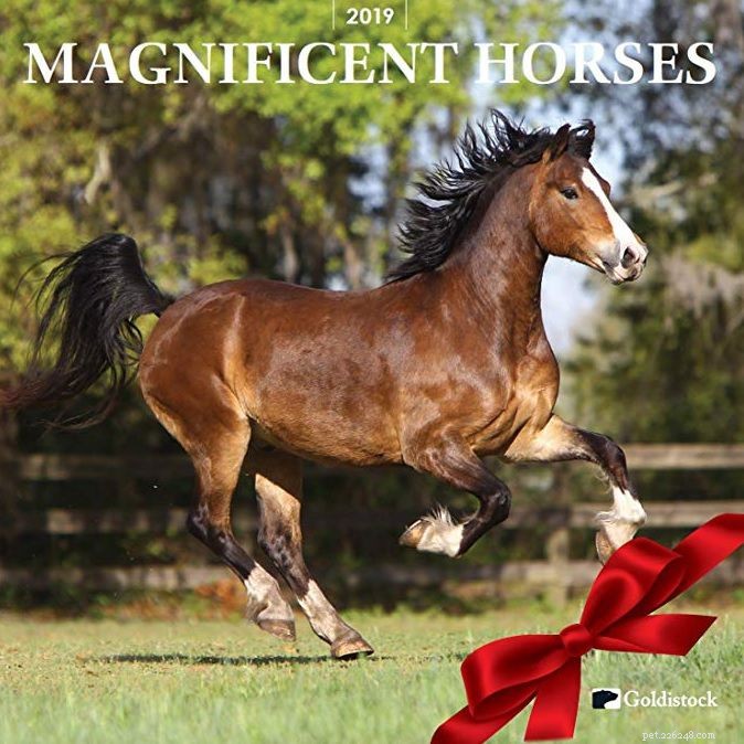 15 подарков для владельцев и любителей лошадей