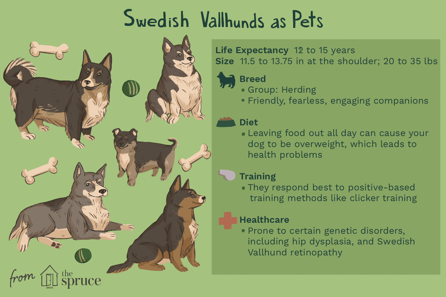 Svensk Vallhund:Hundrasprofil