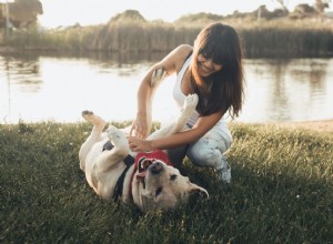 Jak udržet svého psa šťastného a zdravého