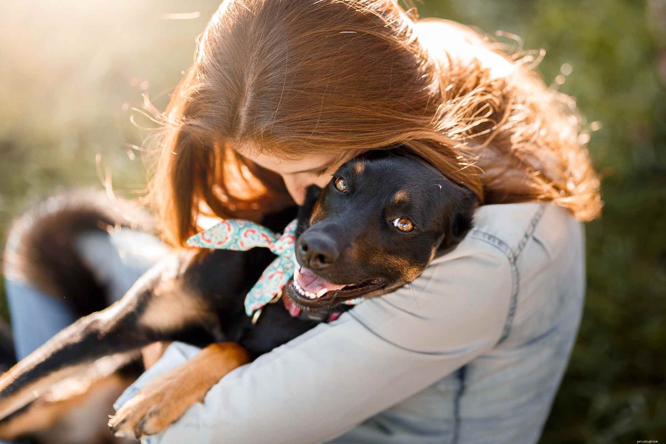 För- och nackdelar med att adoptera vuxna hundar och hundvalpar