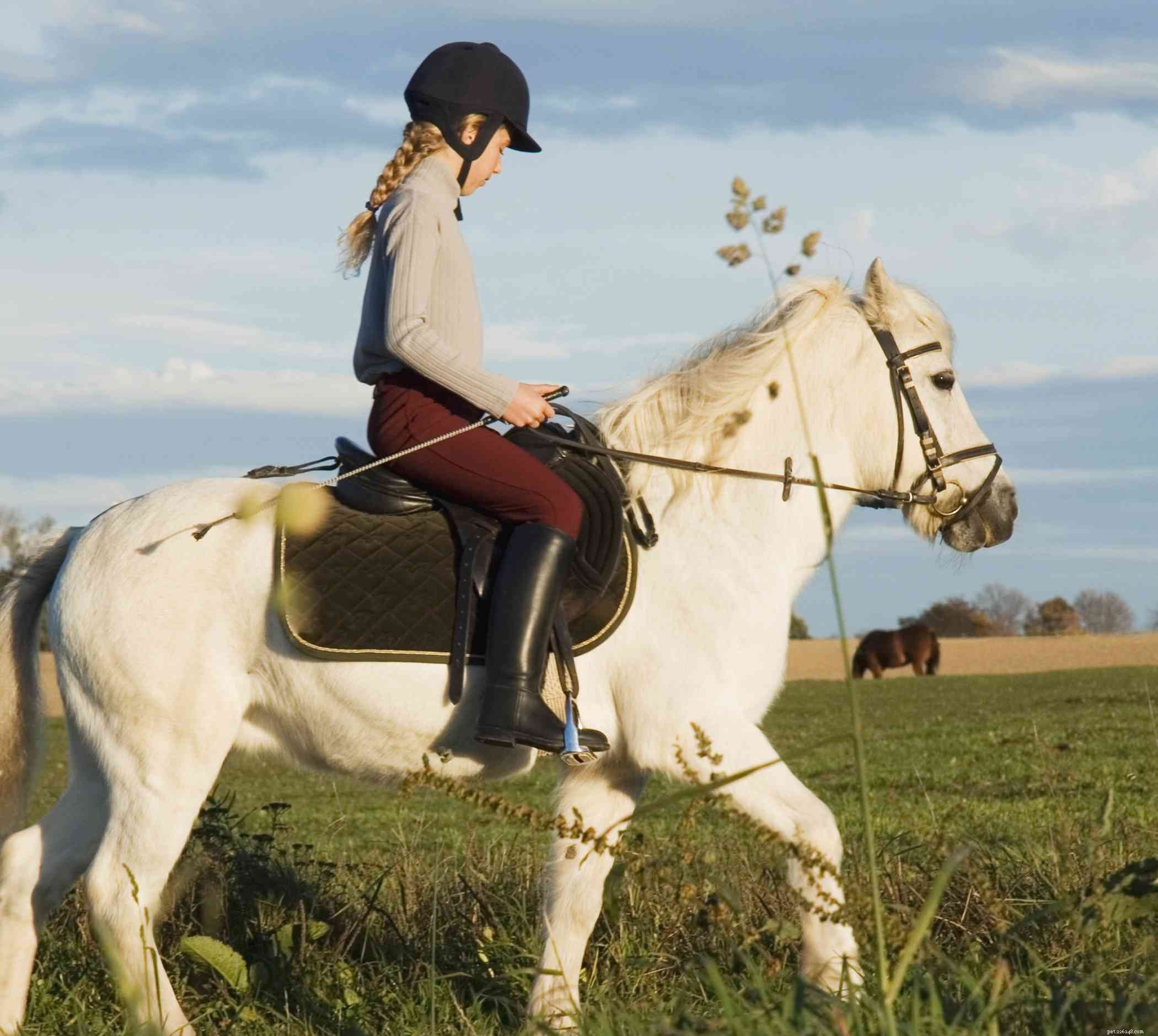 Punire il tuo cavallo:cosa funziona e cosa non funziona