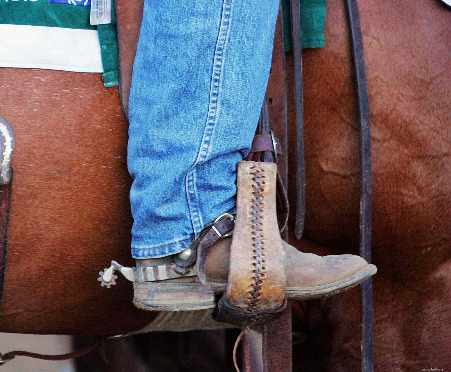 Punire il tuo cavallo:cosa funziona e cosa non funziona
