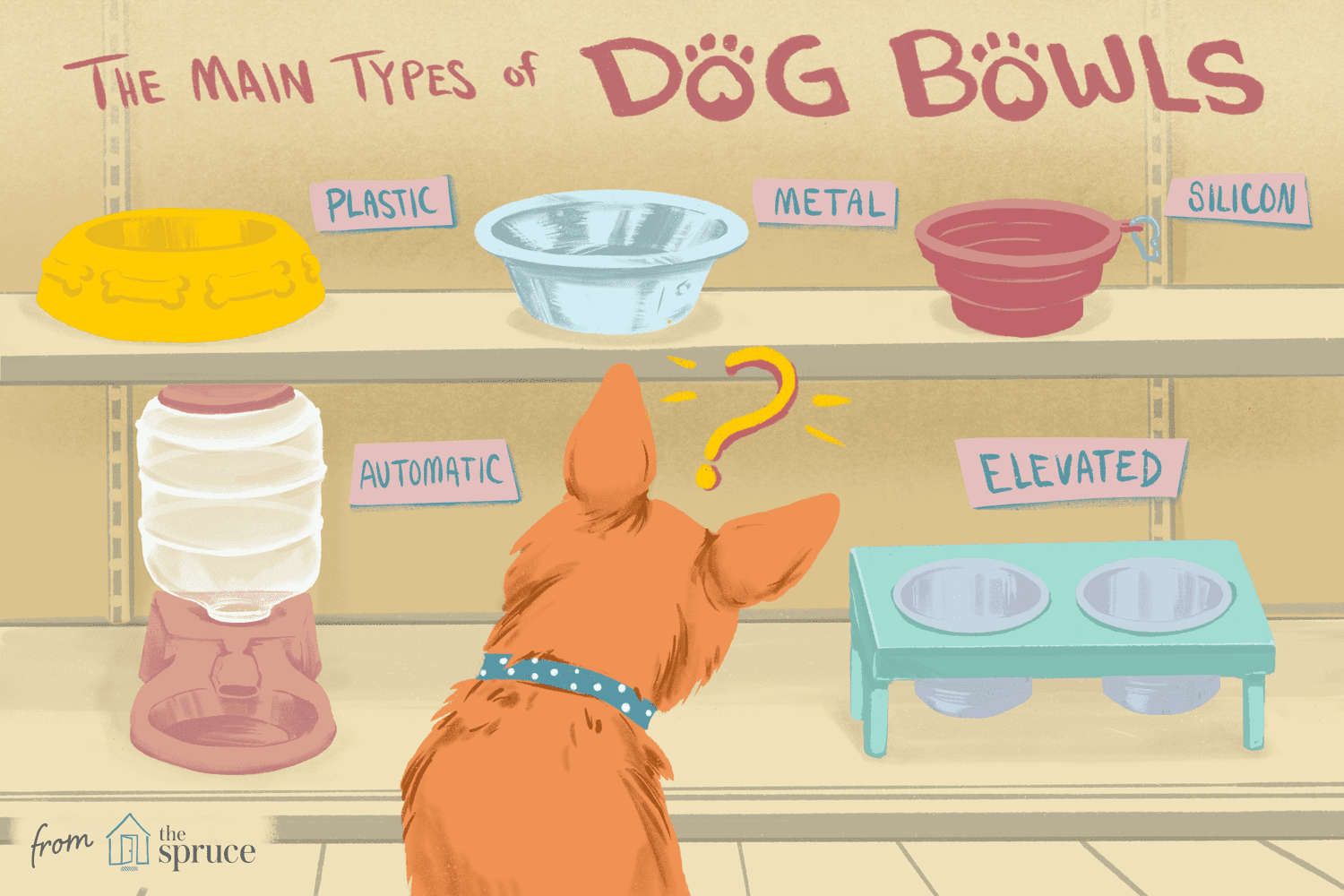 Výběr nejlepší psí misky pro vašeho psa
