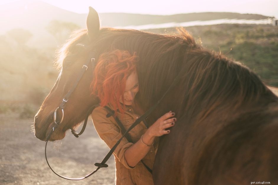 Ensine seu cavalo a dar um abraço
