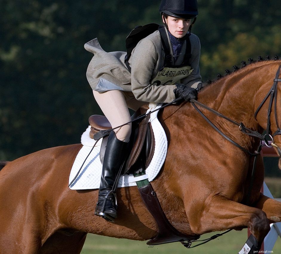 Wat te dragen op een Engelse paardenshow
