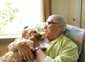 あなたの犬に別れを告げる 