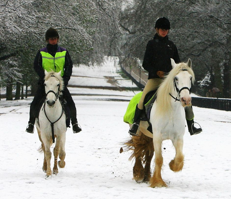 11 tips för att rida hästar på vintern