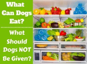 I cani possono mangiare le mele? Pomodori? Cosa possono o non possono mangiare i cani?