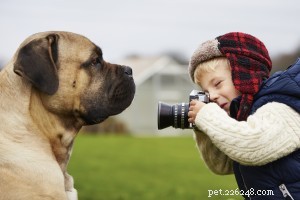 Diga Queijo! Tirando fotos perfeitas do seu animal de estimação
