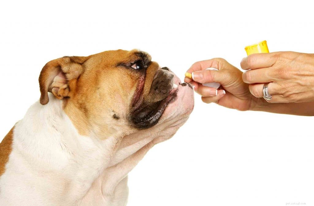 Vervaldatums van diergeneesmiddelen:zijn ze van belang?