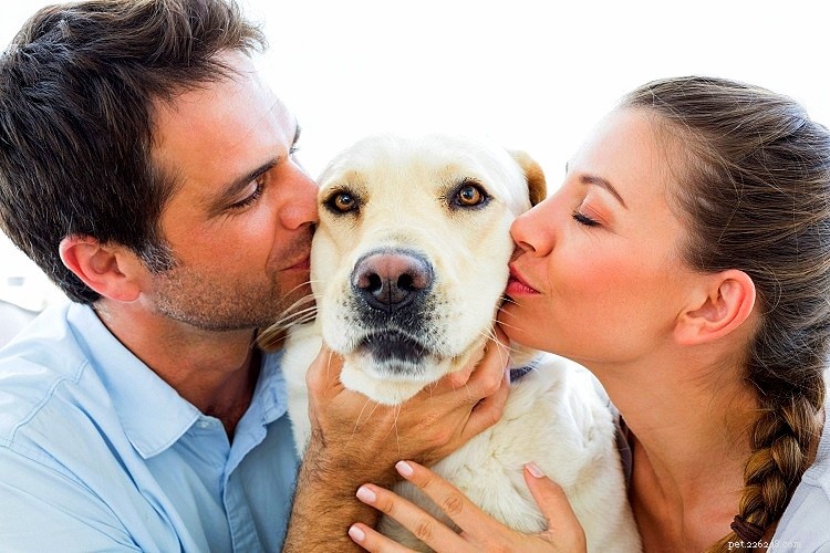 Jak přimět psa, aby vás měl rád v 16 snadných krocích [Nový průvodce]